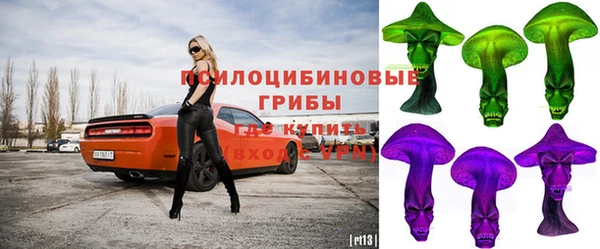 трава Покачи