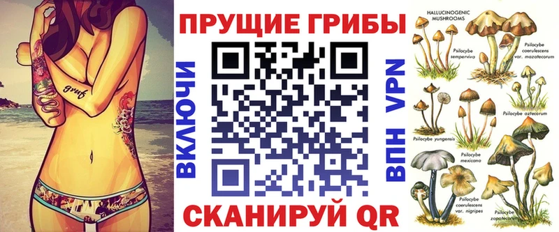 Псилоцибиновые грибы мицелий Купить где Черняховск
