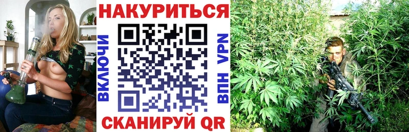 Канабис конопля Купить Черняховск